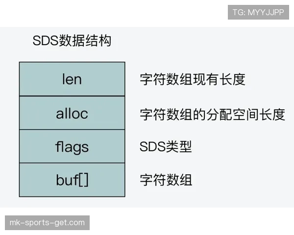 什么是24秒违例？看完这篇新手也能快速搞懂！